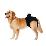 New Pet Large Dog Diaper Sanitary Physiological Pants